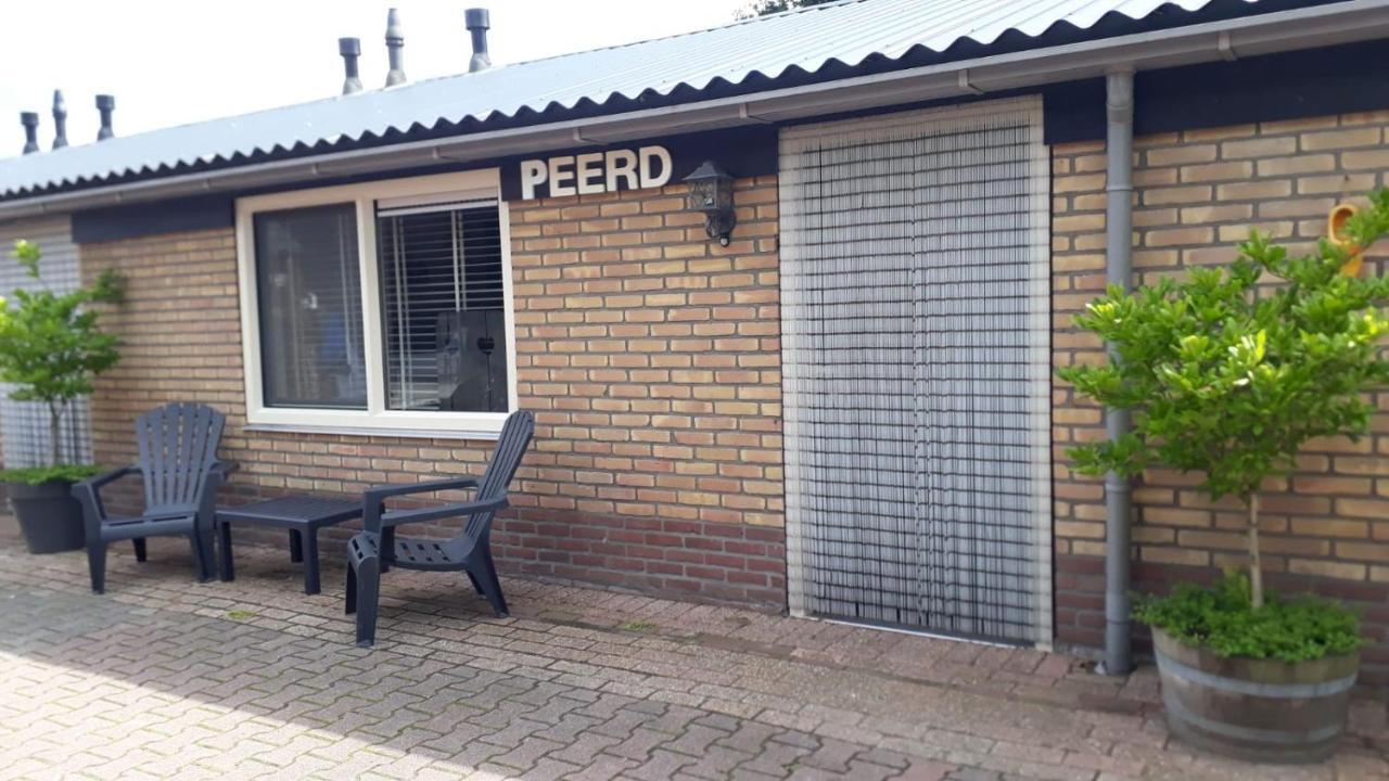 Ferienwohnung Stal Zwartschaap Stuifzand Exterior foto